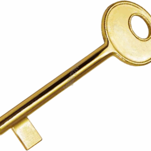 Chiave Universale Passpartout per Serrature Patent Interno | Compatibile AGB Serie Centro e Vecchio Tipo | Finitura Oro