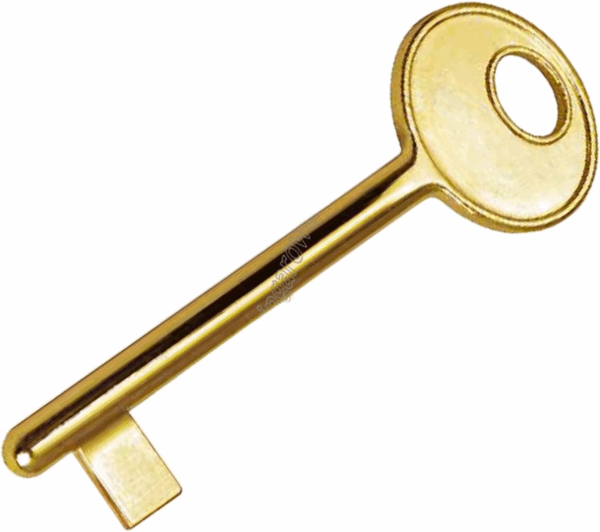 Chiave Universale Passpartout per Serrature Patent Interno | Compatibile AGB Serie Centro e Vecchio Tipo | Finitura Oro